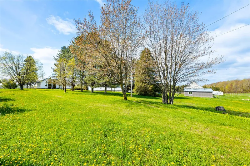 Miniature