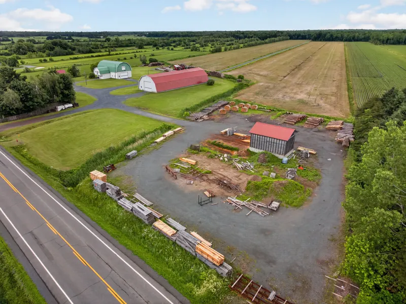 Miniature