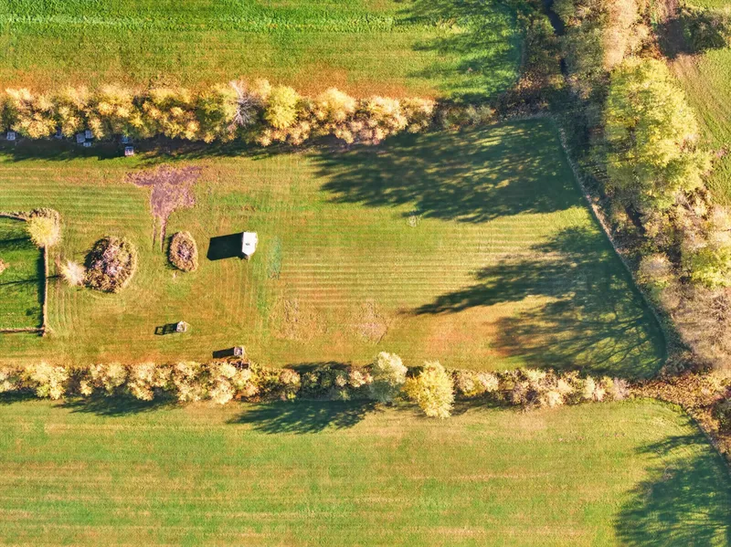 Miniature