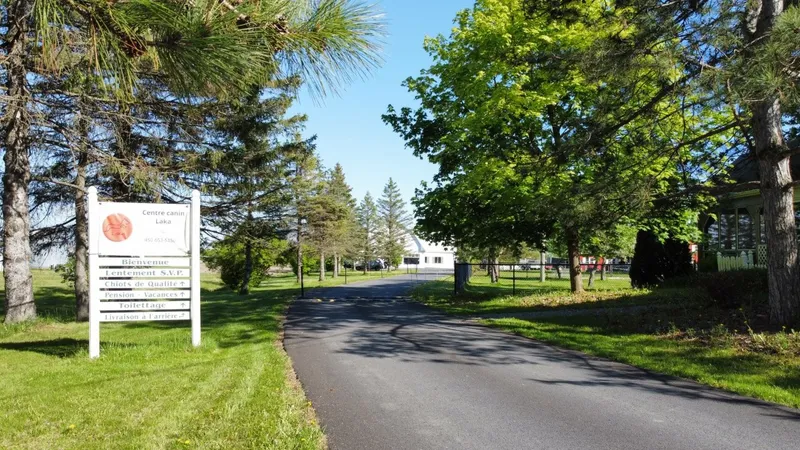 Miniature