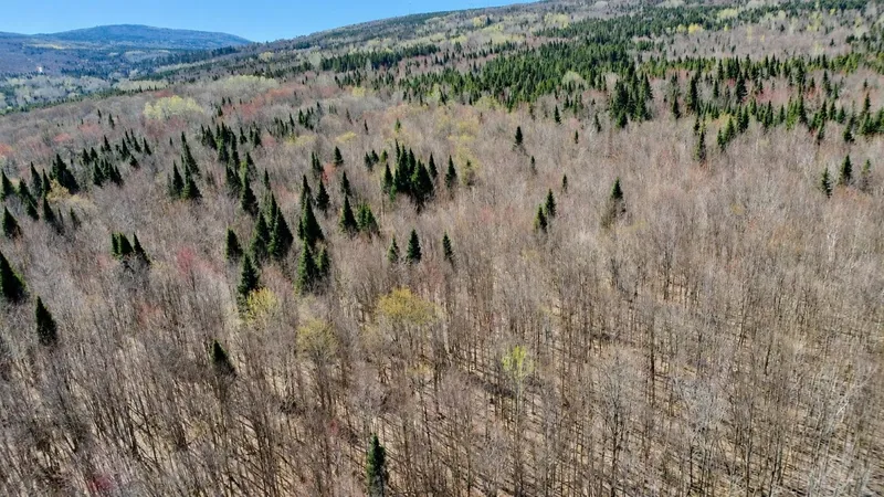 Miniature