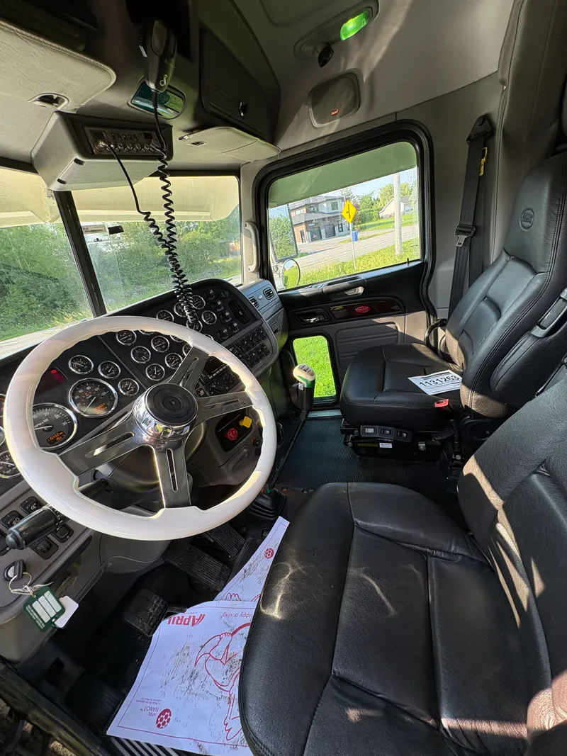 Miniature