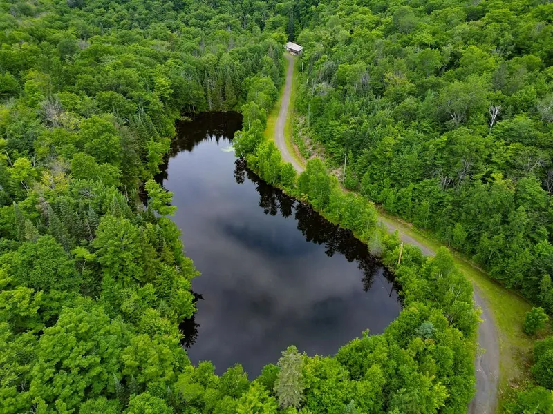 Miniature