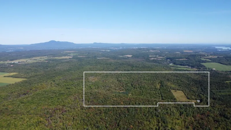 Miniature