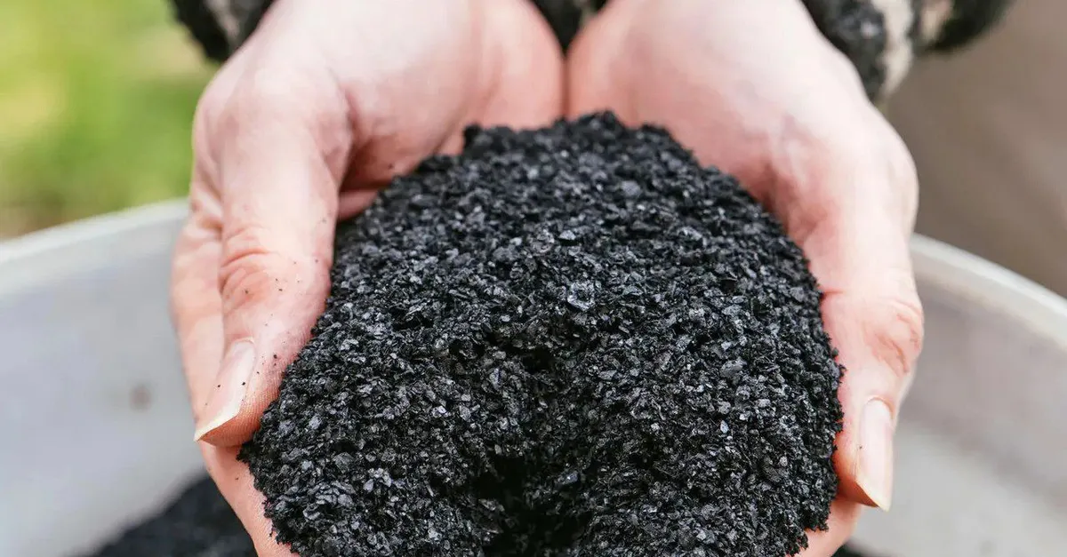 Farming Techniques: The Intriguing History of Biochar - AgriExtra
